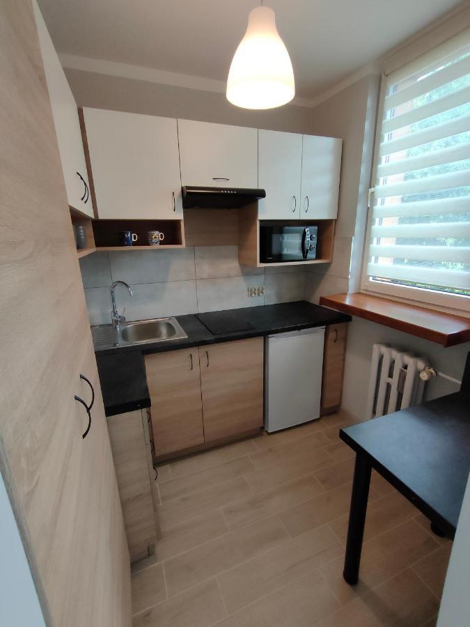 Apartament Cichy Kacik Zator Tylko 1Km Od Energylandii Buitenkant foto
